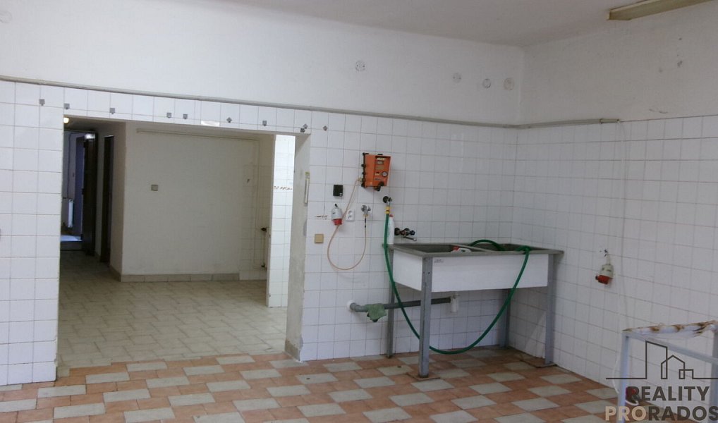 Pronájem výrobních prostor 120 m², Střelice – náhled fotky 2