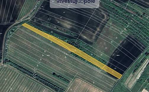 Prodej louky 4 020 m², Starovičky, okres Břeclav