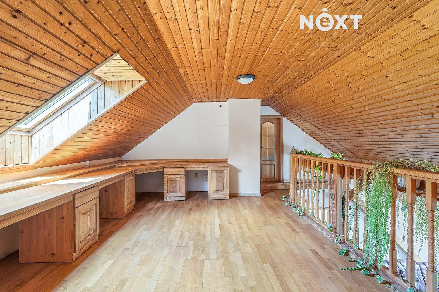 Fotka 12 z 30