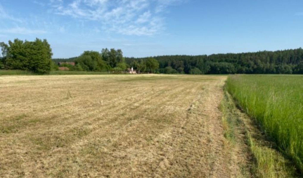 Prodej stavebního pozemku 8 669 m², Zbizuby – náhled fotky 13