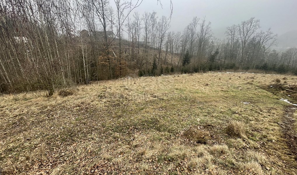 Prodej lesa 33 054 m², Košťálov – náhled fotky 4