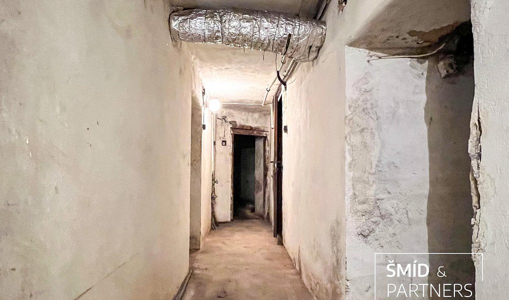Prodej domu 540 m² s pozemkem 284 m², Zásmuky – náhled fotky 44