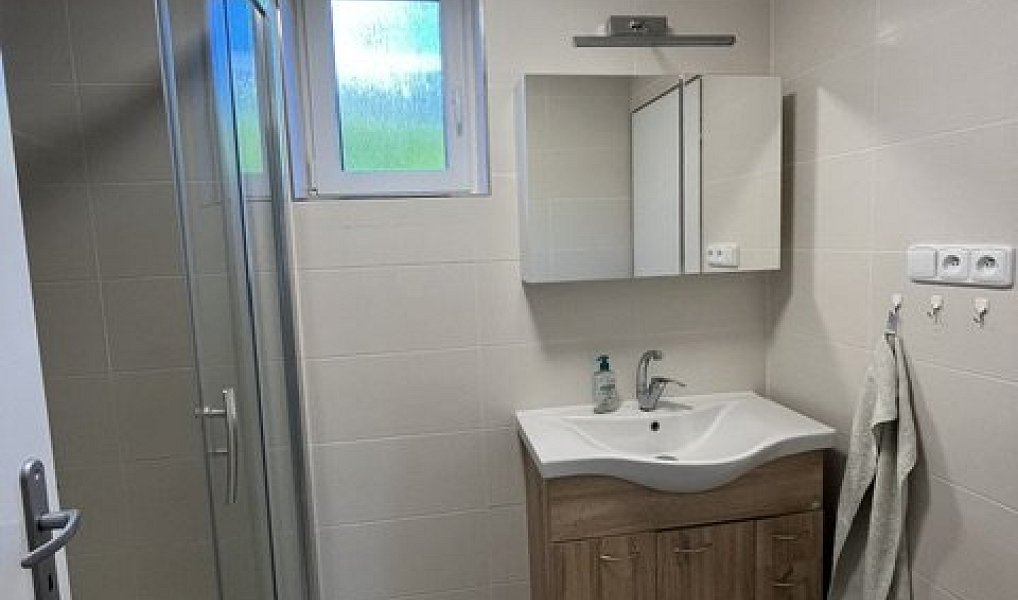 Pronájem domu 170 m² s pozemkem 832 m², Vizovice – náhled fotky 8