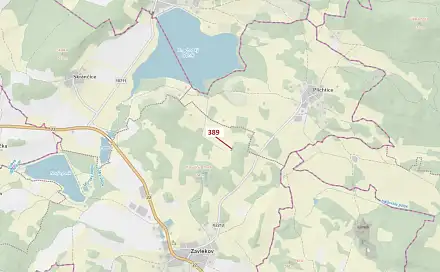 Dražba lesa 332 m², Zavlekov