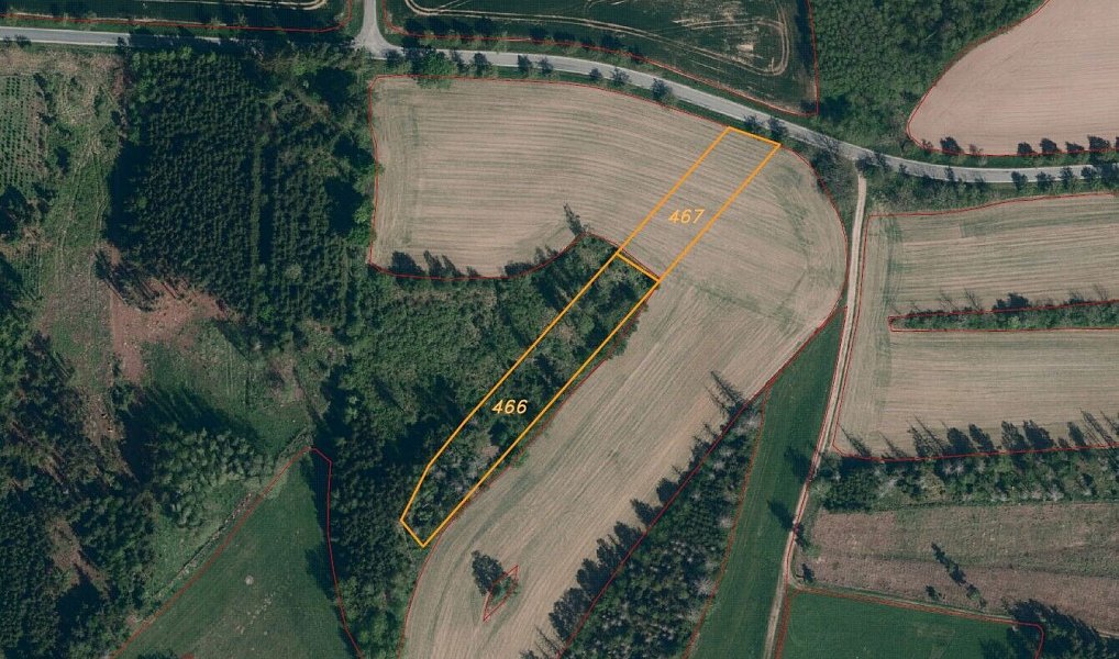 Prodej pozemku 8 600 m², Kundratice – náhled fotky 5