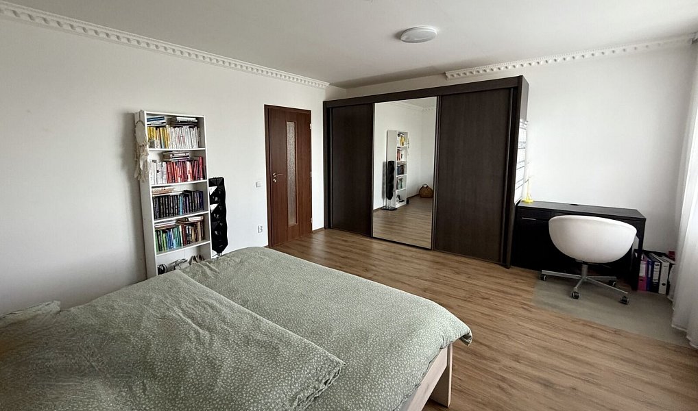 Prodej domu 219 m² s pozemkem 456 m², Mladá Boleslav – náhled fotky 20