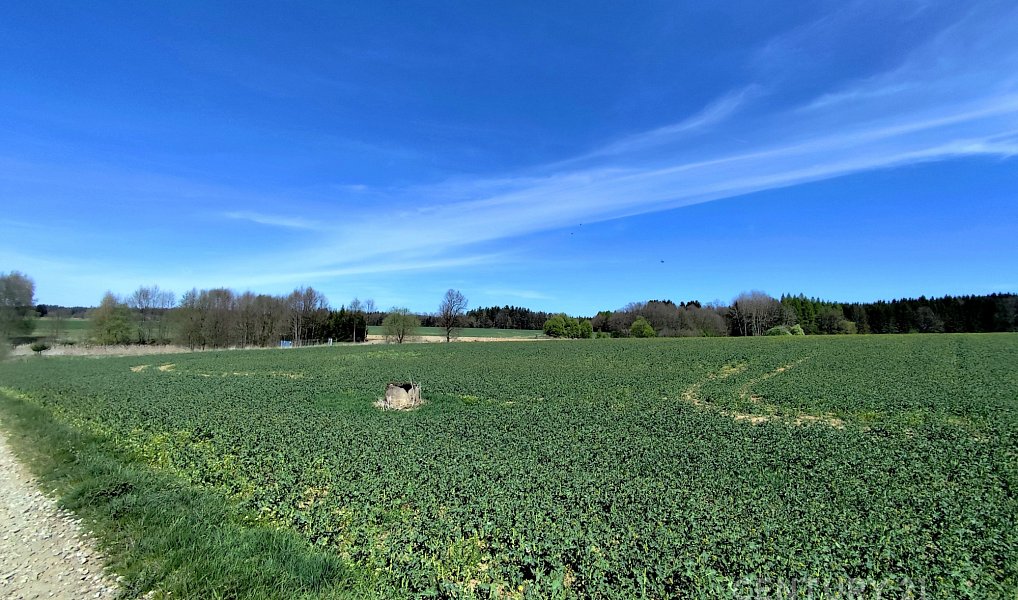 Prodej pole 40 119 m², Nová Včelnice – náhled fotky 7