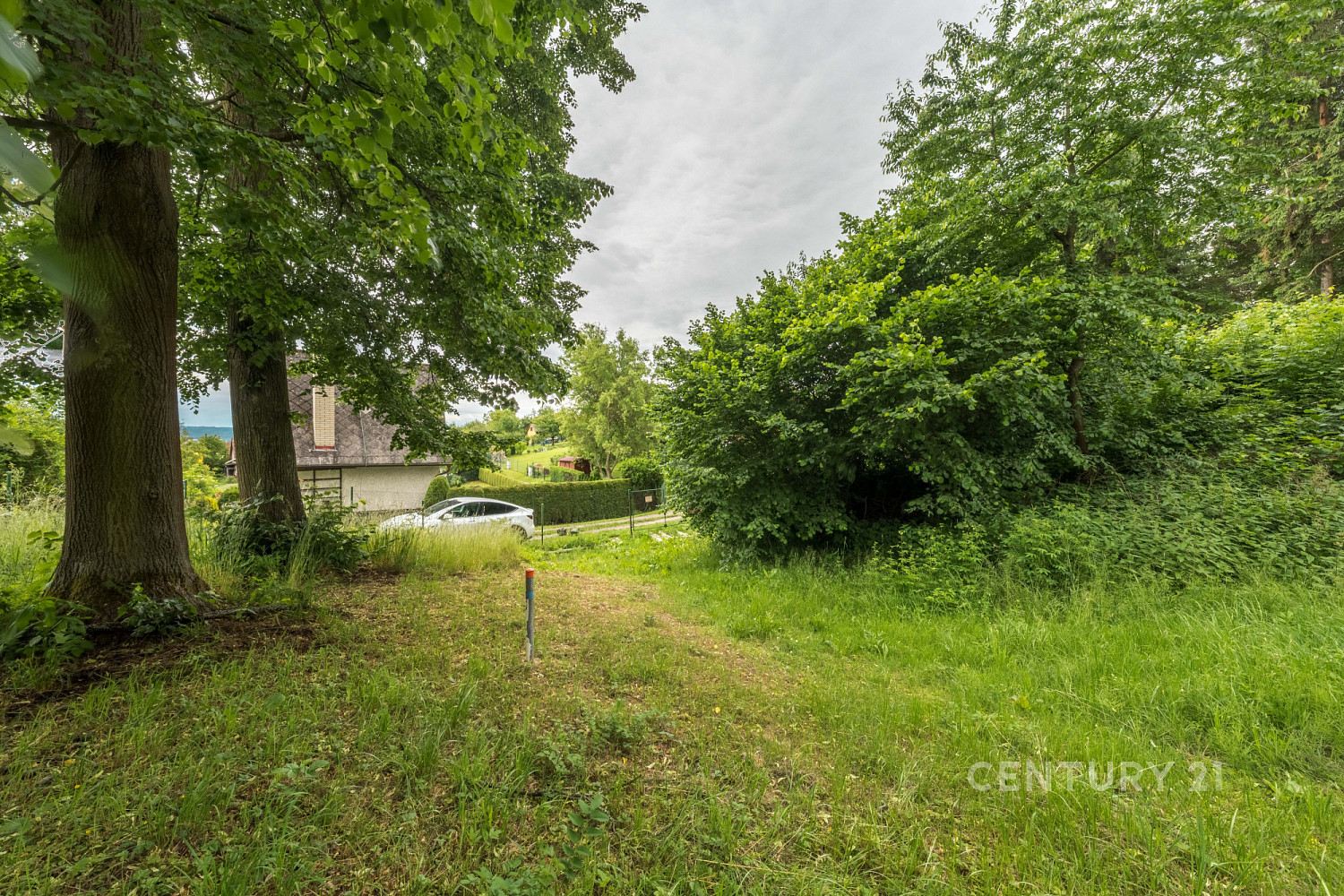 Prodej zahrady 4 170 m² – fotografie 4