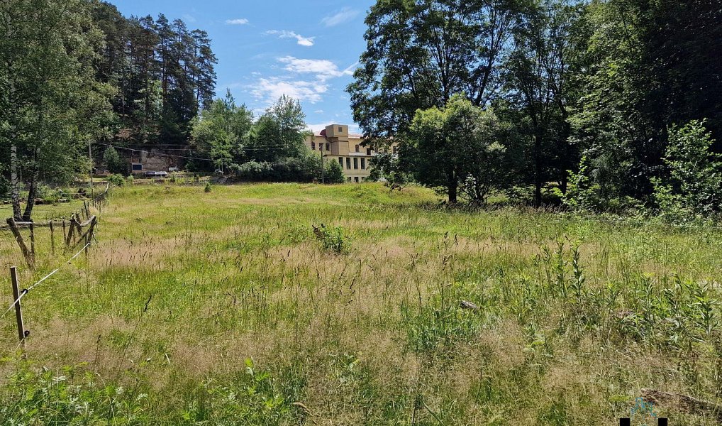 Prodej louky 11 314 m², Janská – náhled fotky 24