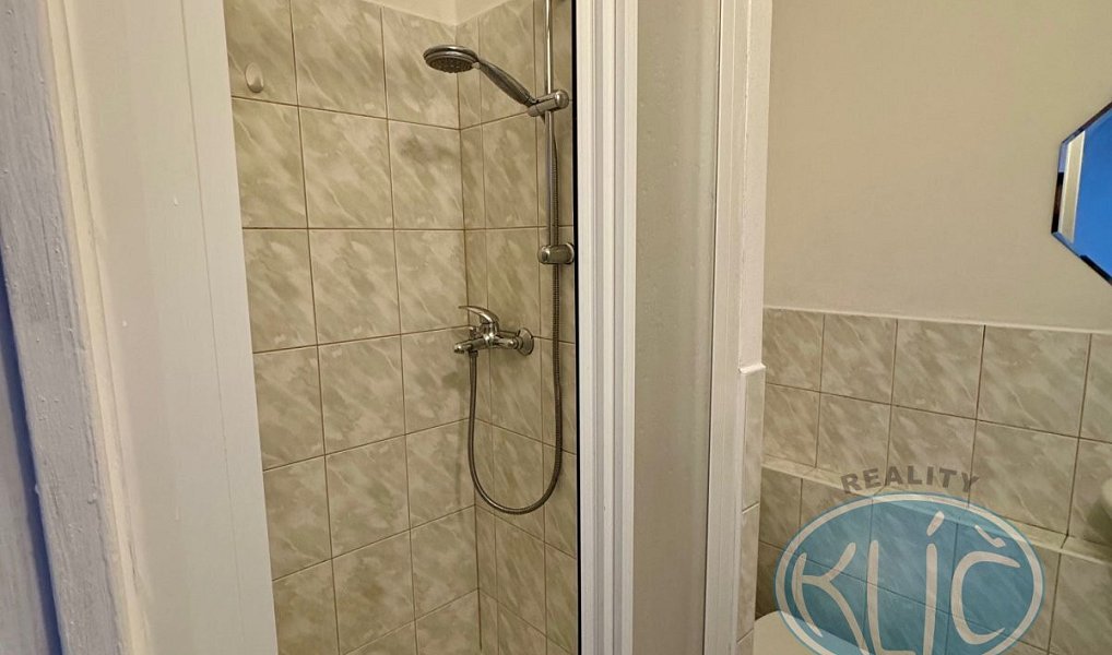 Pronájem bytu 1+kk 21 m², Tábor – náhled fotky 6
