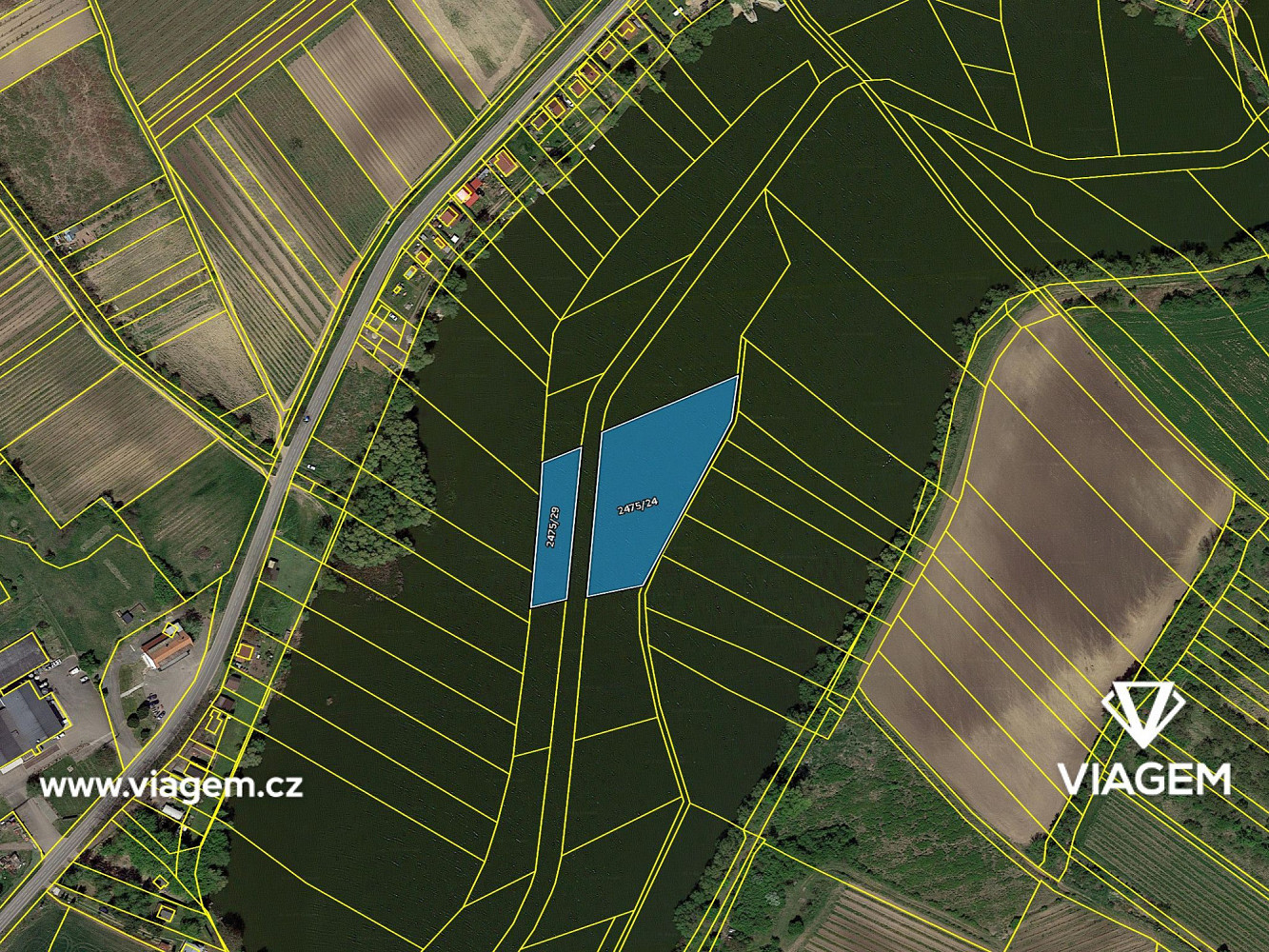 Prodej pole 1 341 m² – fotografie 4