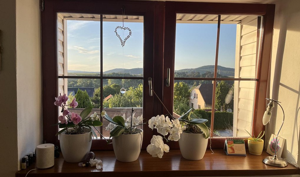 Pronájem domu 160 m² s pozemkem 1 135 m², Stašov – náhled fotky 7