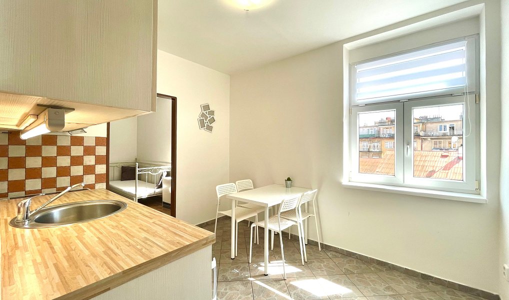 Pronájem bytu 1+1 35 m², Praha – náhled fotky 8