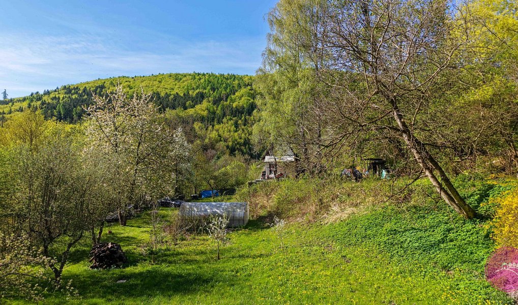 Prodej zahrady 2 114 m², Mírov – náhled fotky 3
