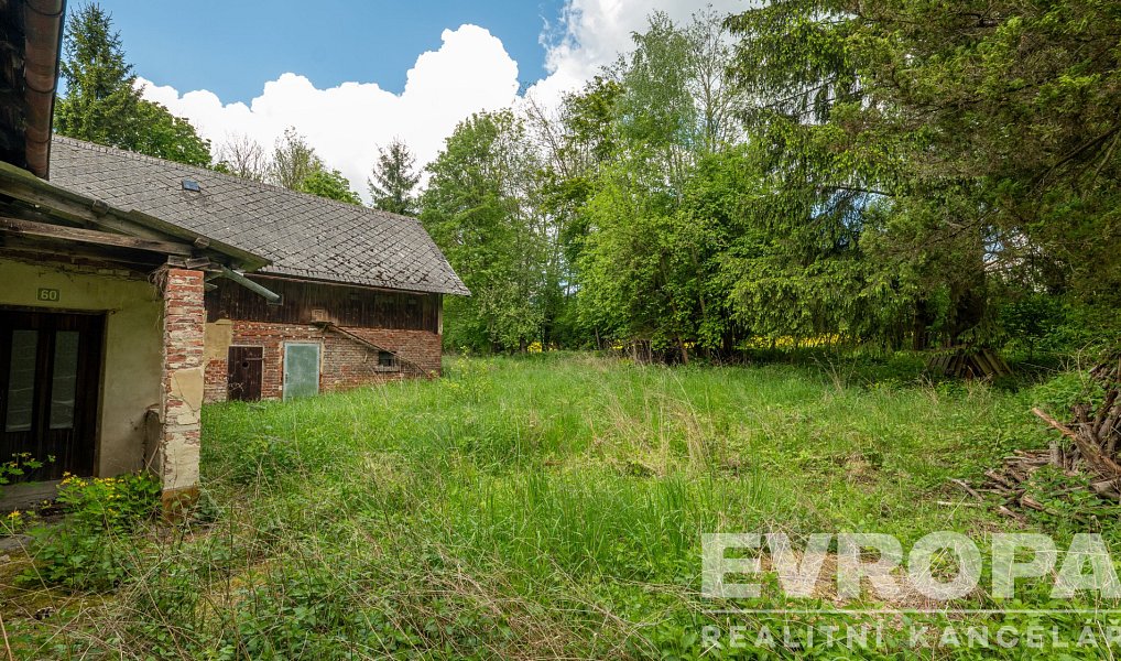 Prodej domu 241 m² s pozemkem 16 181 m², Bílá – náhled fotky 5