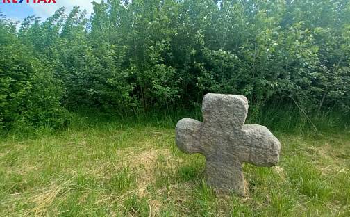 Prodej pole 17 750 m², Doubravice, okres Trutnov