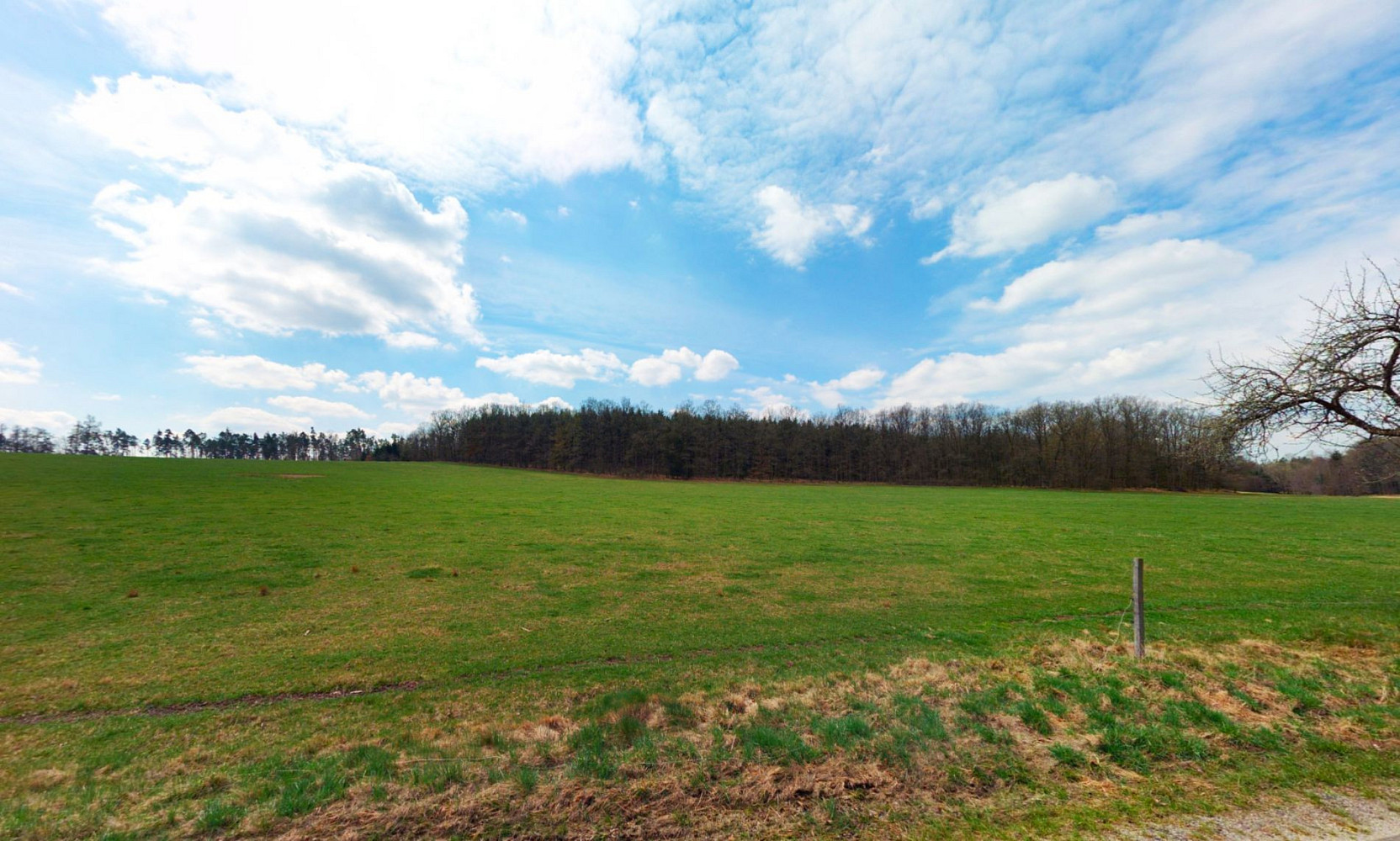 Prodej pole 3 637 m²