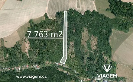 Prodej lesa 7 763 m², Hradec nad Moravicí, okres Opava