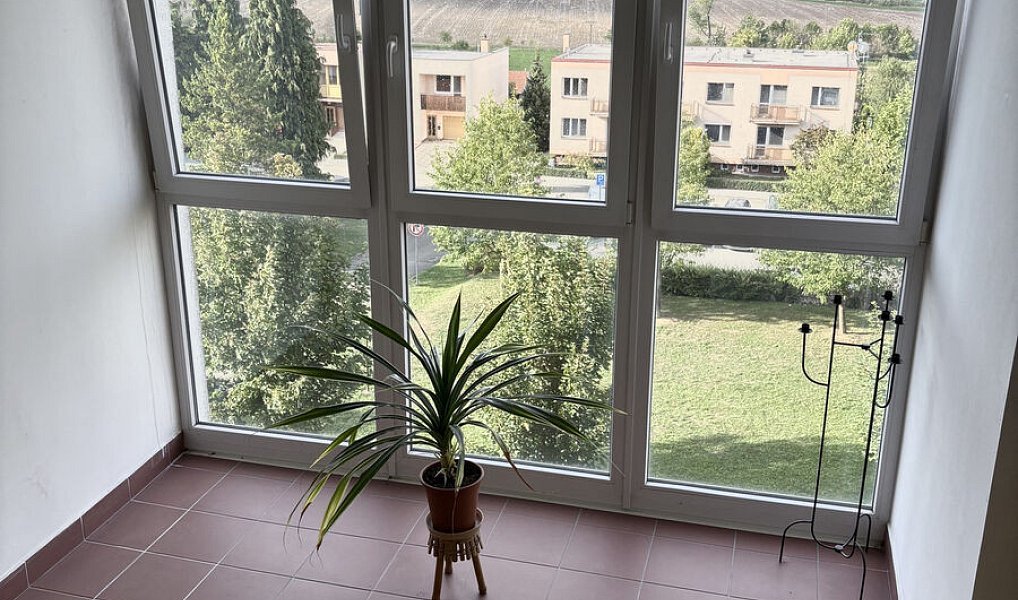 Prodej bytu 1+1 32 m², Kelč – náhled fotky 12
