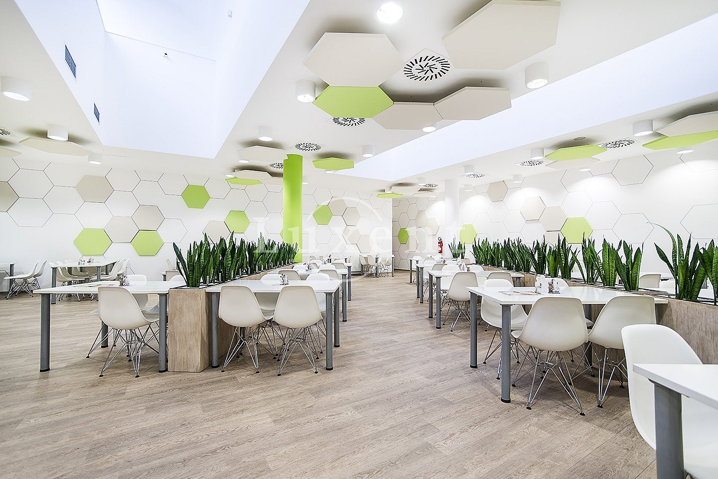 Pronájem kanceláře 570 m² – fotografie 4
