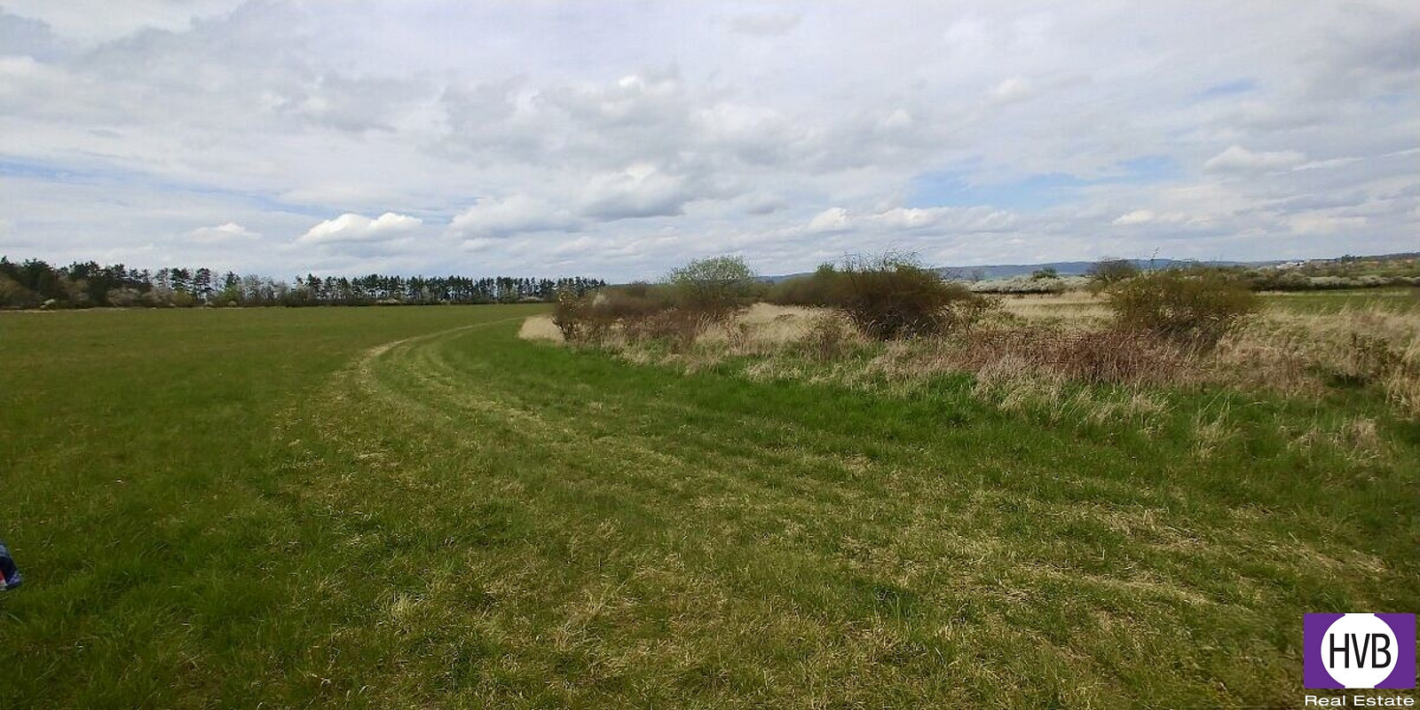 Prodej pole 6 487 m² – fotografie 5