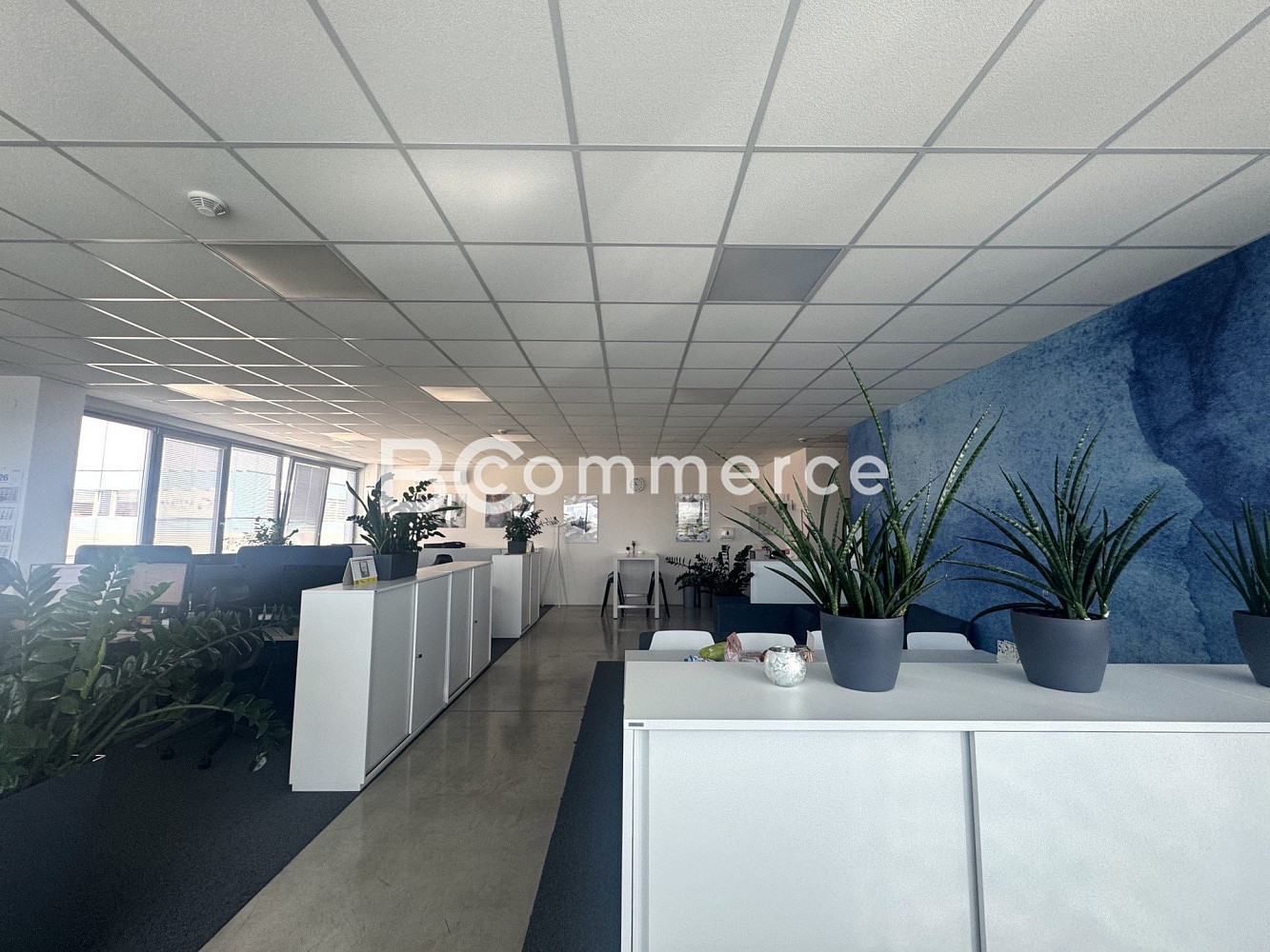 Pronájem kanceláře 146 m² – fotografie 3