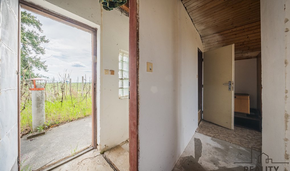 Prodej vinného sklepa s vinohradem ve Skoronicích, sklep + vinohrad Skoronice, Skoronice – náhled fotky 28
