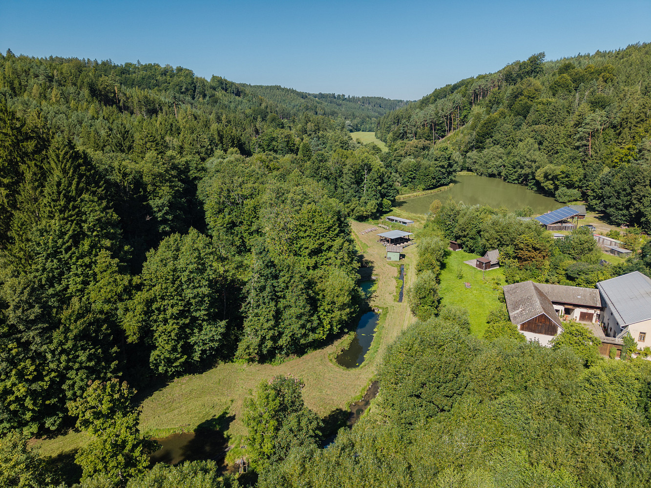 Prodej rybích sádek , Nové Hrady – další