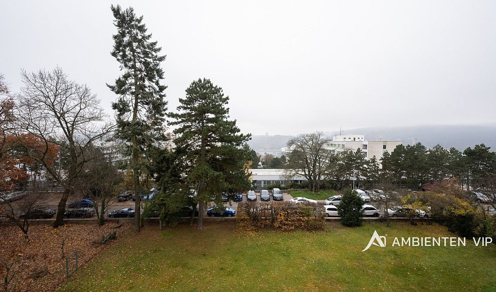 Prodej bytu 6+kk 171 m², Brno – náhled fotky 24