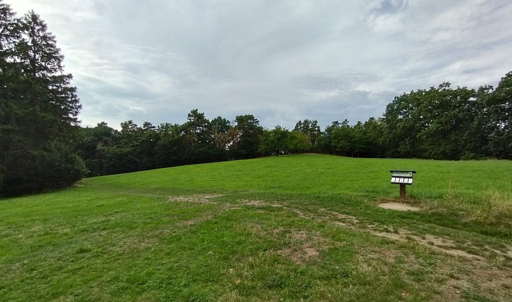 Prodej louky 10 524 m², Boseň – náhled fotky 9