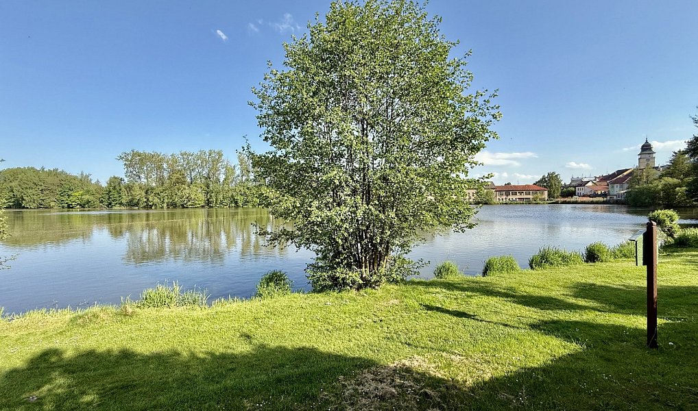 Prodej domu 154 m² s pozemkem 1 090 m², Počátky – náhled fotky 37