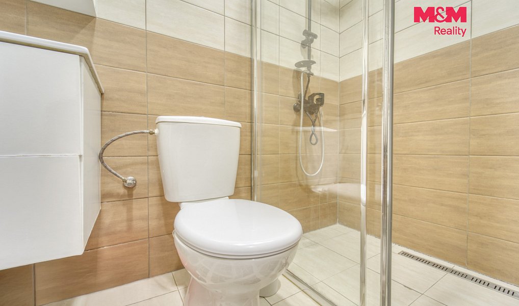 Prodej domu 353 m² s pozemkem 515 m², Chotěšov – náhled fotky 13