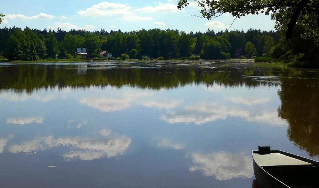 Prodej zahrady 398 m², Ševětín – náhled fotky 16