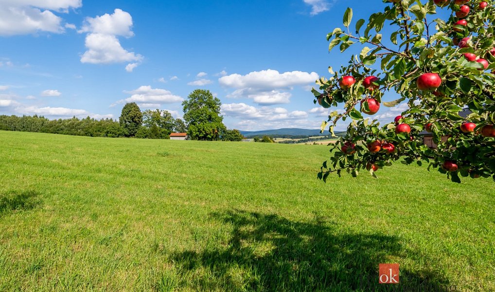 Prodej louky 7 126 m², Chrastava – náhled fotky 5