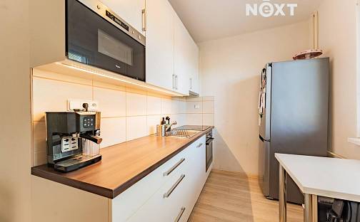 Pronájem bytu 3+1 60 m², Nová, Postřelmov, okres Šumperk