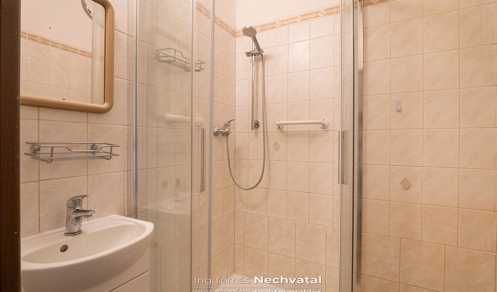 Prodej bytu 2+1 55 m², Brno – náhled fotky 12