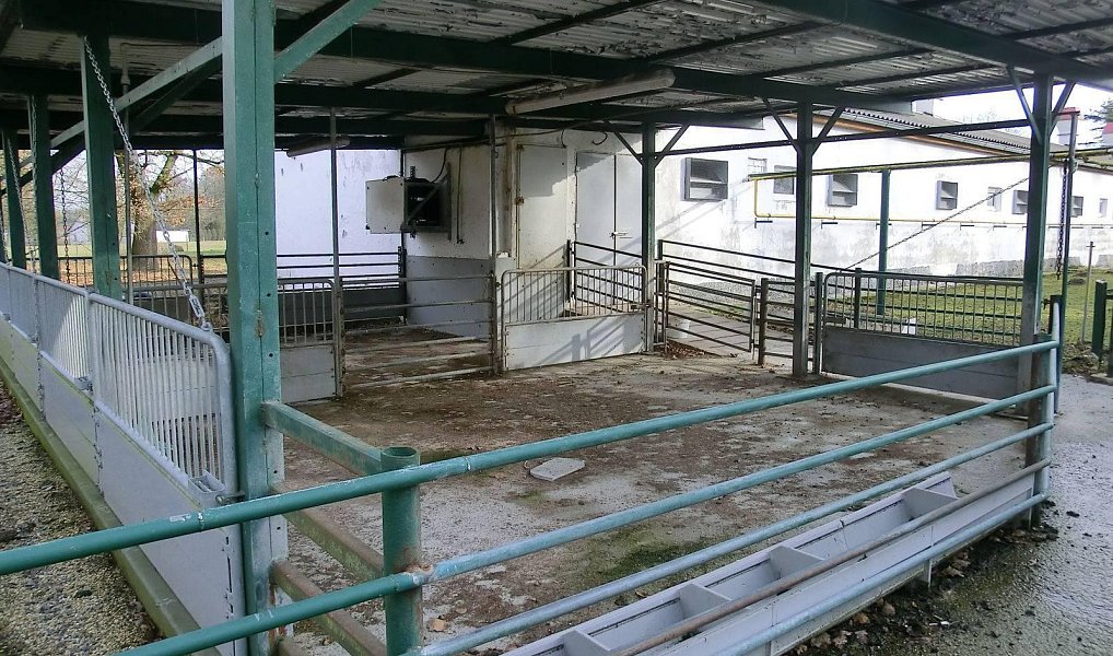 Prodej zemědělského objektu 2 000 m², Majdalena – náhled fotky 22