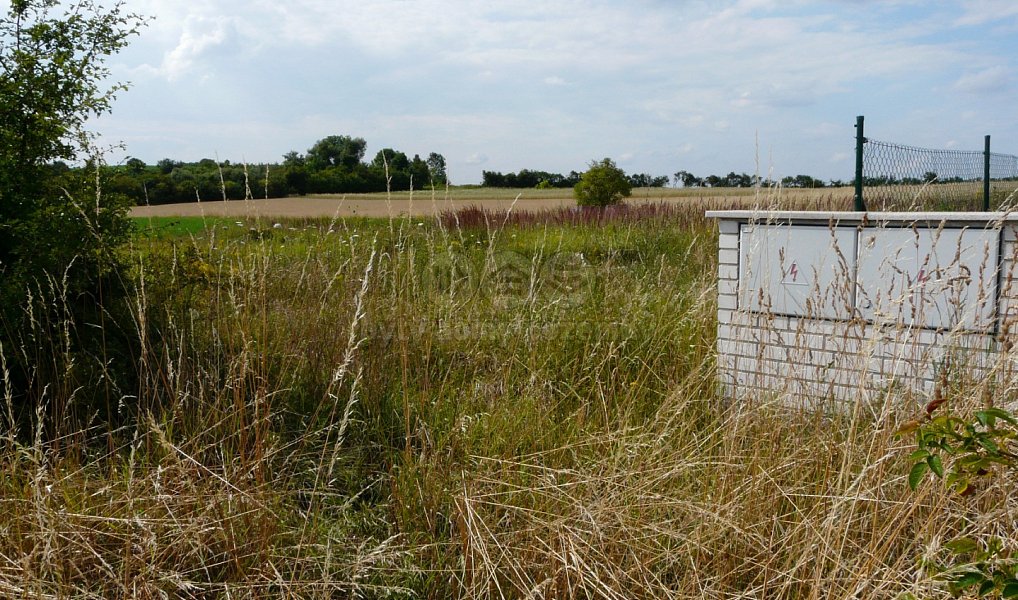 Prodej stavebního pozemku 1 400 m², Dřísy – náhled fotky 2