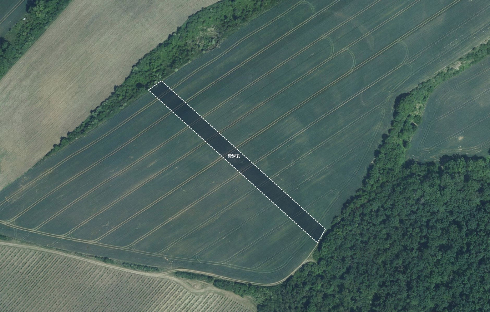 Prodej pole 5 978 m²