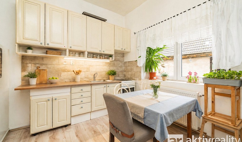 Prodej domu 250 m² s pozemkem 1 005 m², Dolní Zálezly – náhled fotky 23