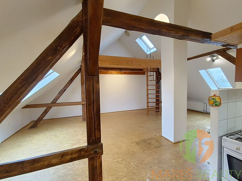 Pronájem bytu 1+kk 60 m² – fotografie 3