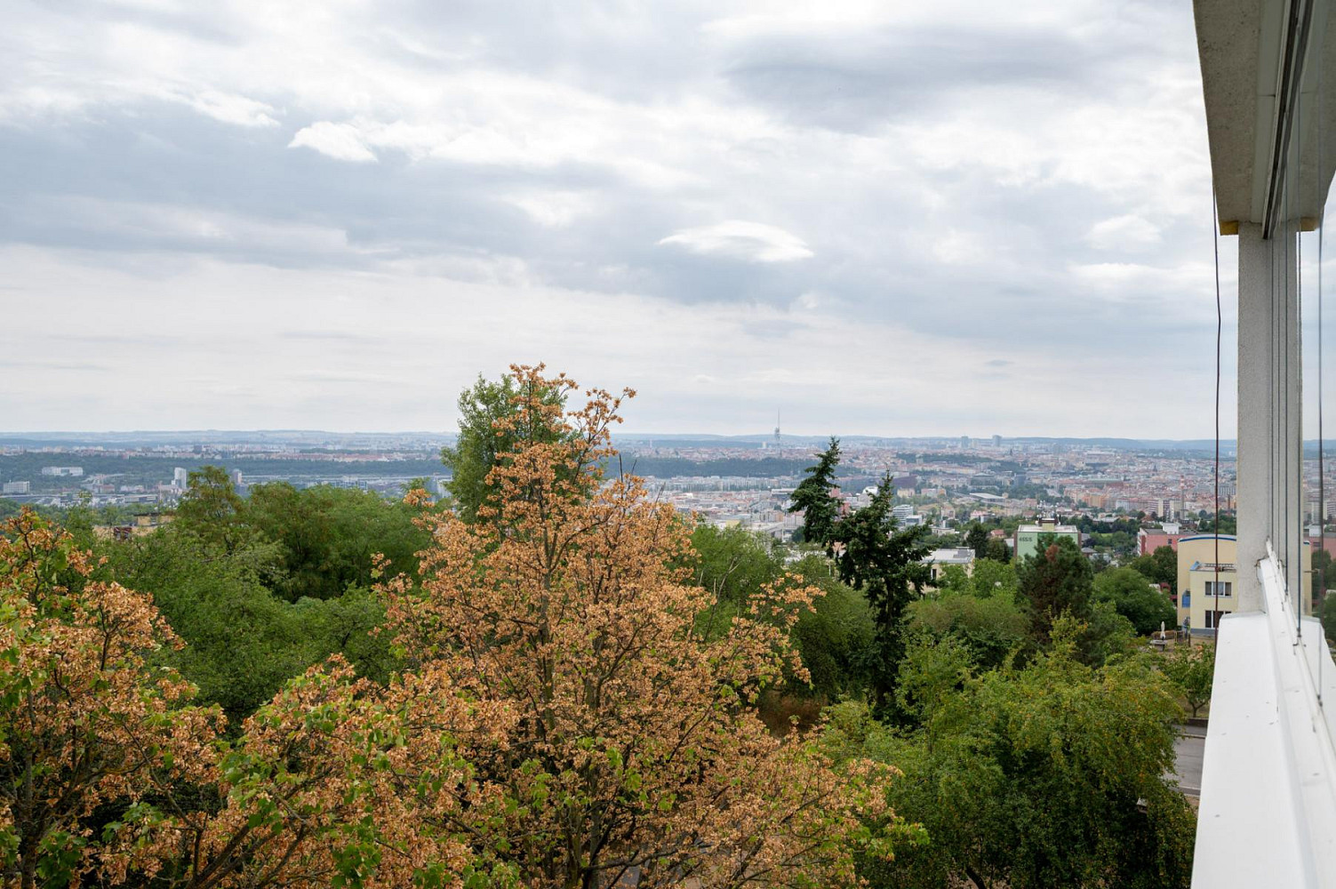 Pronájem bytu 3+1 83 m² – fotografie 4