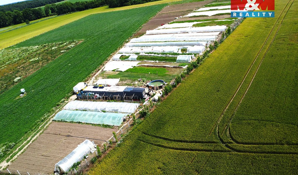 Prodej pole 18 000 m², Nové Dvory – náhled fotky 5