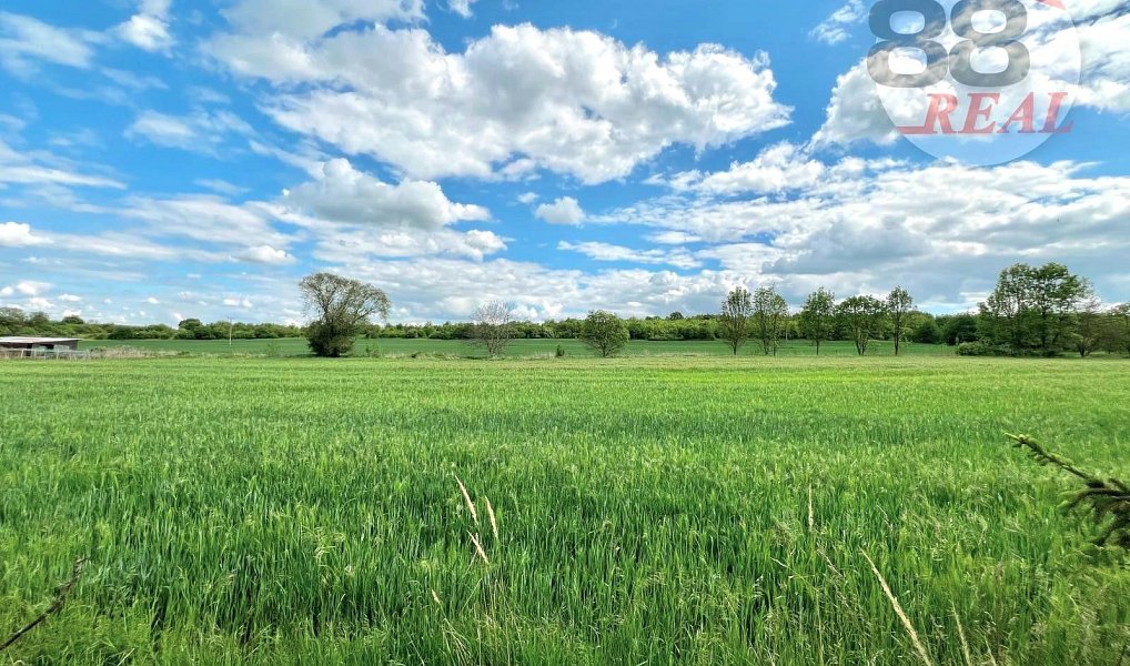 Prodej stavebního pozemku 1 301 m², Radonice – náhled fotky 10