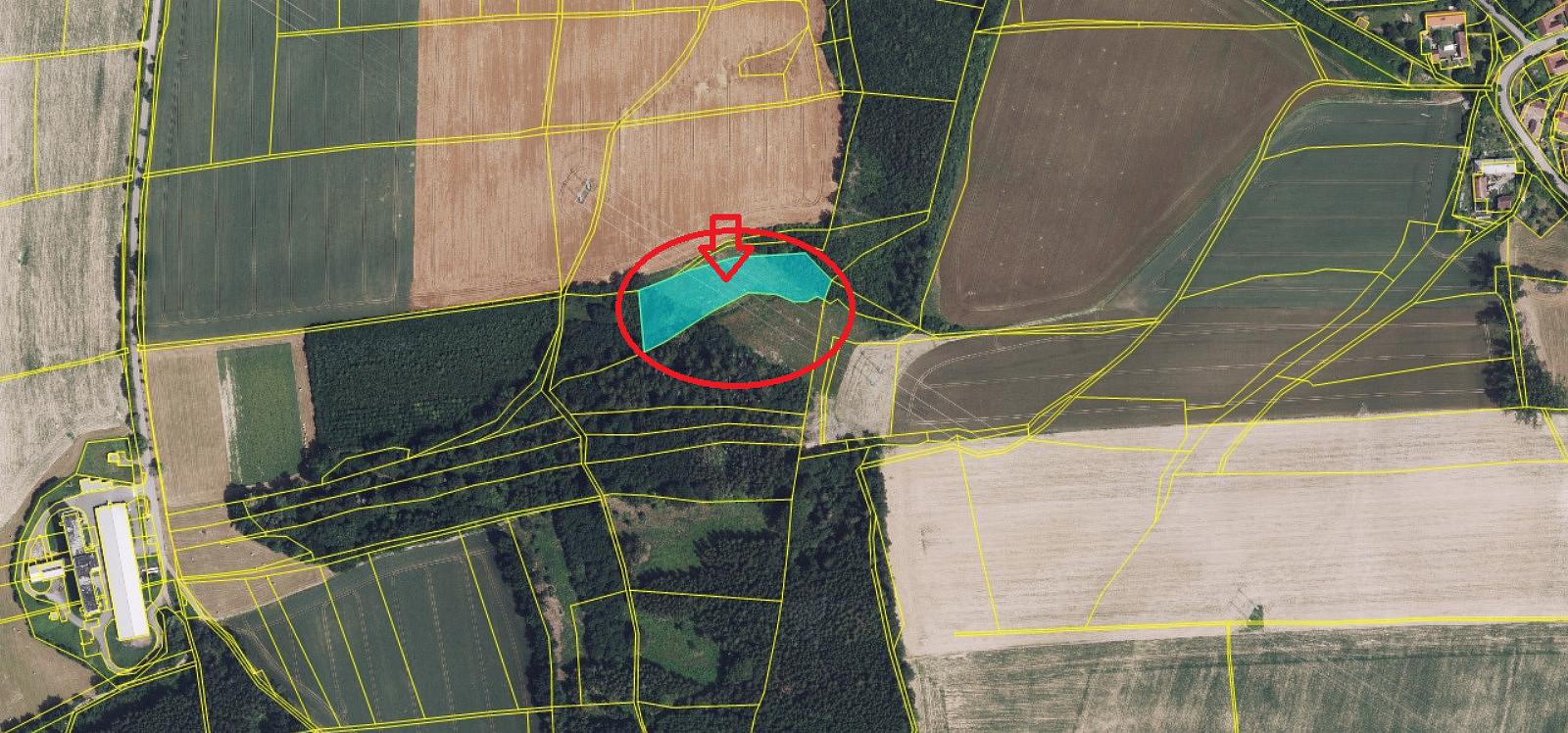 Prodej lesa 5 791 m² – fotografie 2