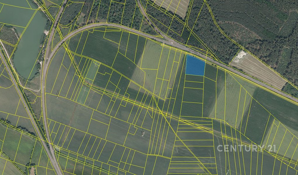 Prodej pole 5 906 m², Vrbová Lhota – náhled fotky 4