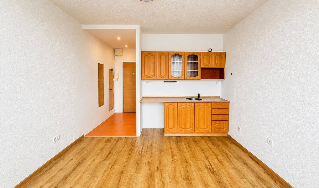 Pronájem bytu 1+kk 21 m², Ústí nad Labem – náhled fotky 2