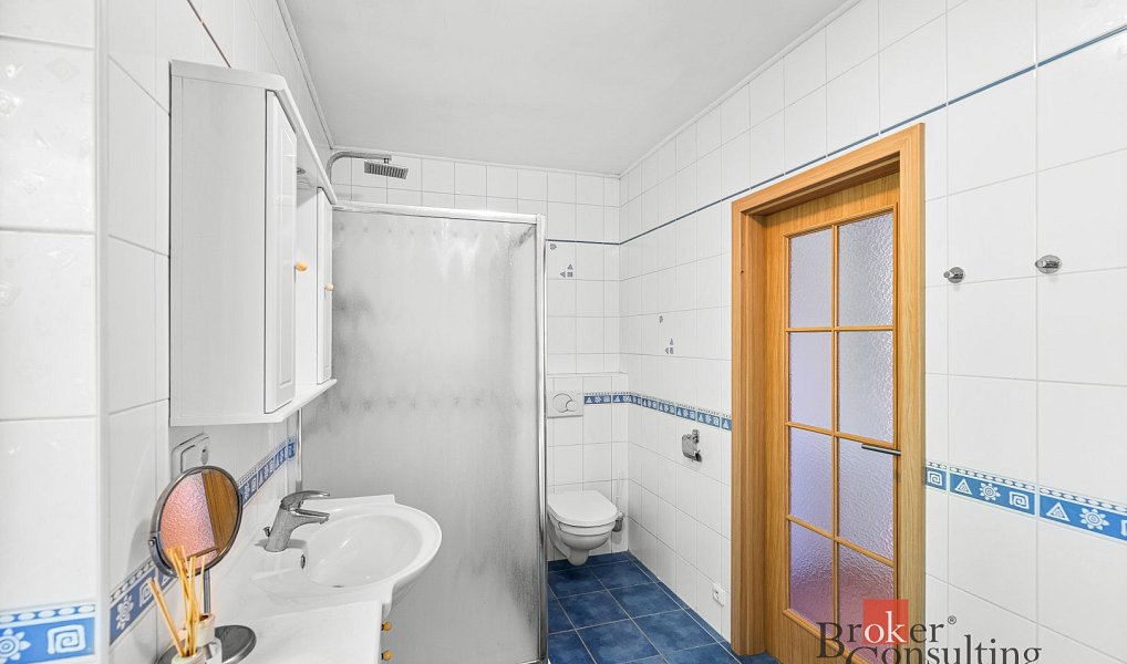 Prodej domu 196 m² s pozemkem 252 m², Horní Bříza – náhled fotky 10