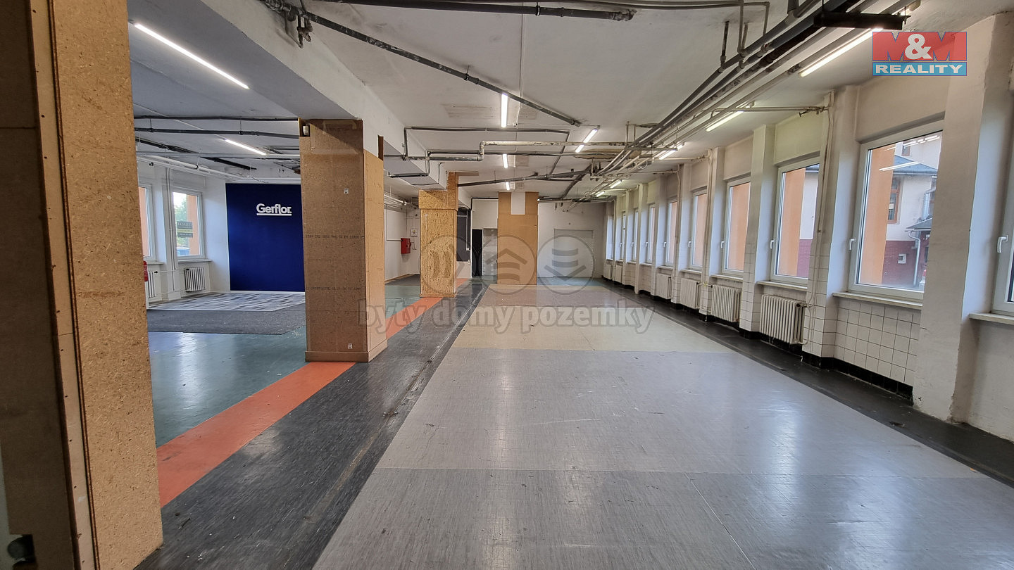 Fotka 7 z 10