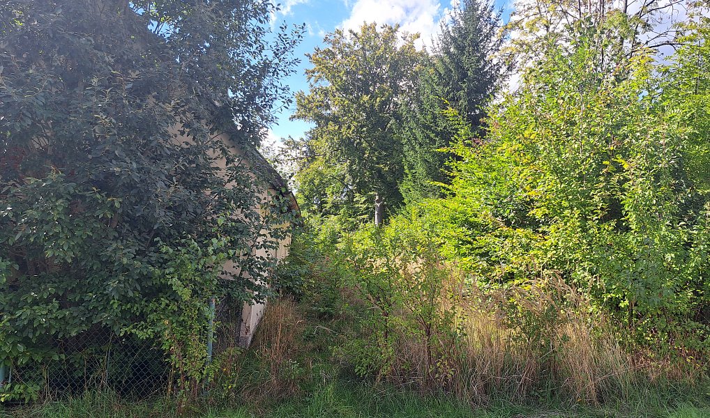 Prodej stavebního pozemku 3 619 m², Nemojov – náhled fotky 14